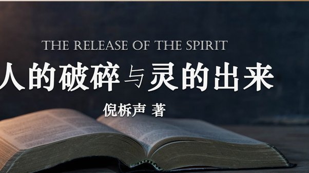 破案了 汪修昊就是那个混证书的人