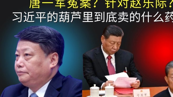 蒙哥马利：张稀哲是球队中流砥柱，只要他多睡觉就能状态好