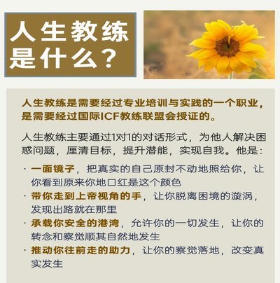 篮球教练不只是技术活，文化素养同样重要