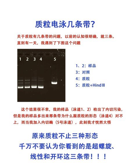 我让董路测dna怎么能算黑他呢